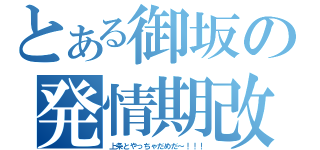 とある御坂の発情期改（上条とやっちゃだめだ～！！！）