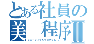 とある社員の美 程序Ⅱ（ビューティフルプログラム）