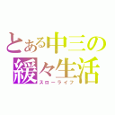 とある中三の緩々生活（スローライフ）