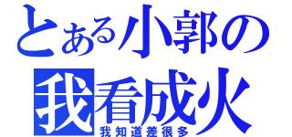 とある小郭の我看成火鍋（我知道差很多）