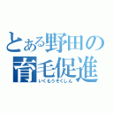 とある野田の育毛促進（いくもうそくしん）