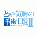 とある気胸の手術目録手術目録Ⅱ（オペレーション）