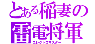 とある稲妻の雷電将軍（エレクトロマスター）