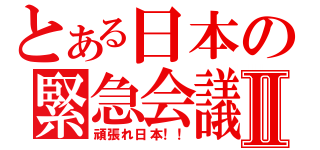 とある日本の緊急会議Ⅱ（頑張れ日本！！）