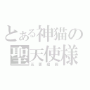 とある神猫の聖天使様（五更瑠璃）