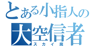 とある小指人の大空信者（スカイ廃）