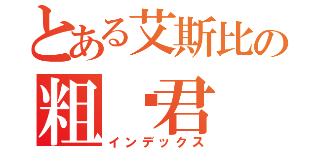 とある艾斯比の粗盐君（インデックス）