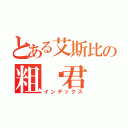 とある艾斯比の粗盐君（インデックス）