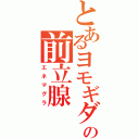 とあるヨモギダの前立腺（エネマグラ）