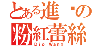 とある進擊の粉紅蕾絲（Ｄｉｏ Ｗａｎｇ）