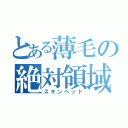 とある薄毛の絶対領域（スキンヘッド）