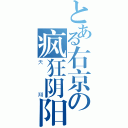 とある右京の疯狂阴阳（天翔）