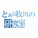 とある牧川の研究室（生体工学研究室）