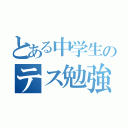 とある中学生のテス勉強（）