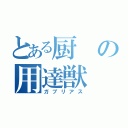 とある厨の用達獣（ガブリアス）