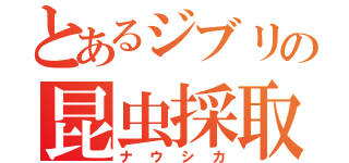 とあるジブリの昆虫採取（ナウシカ）