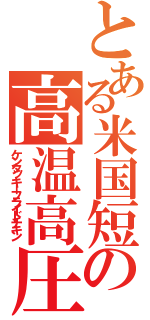 とある米国短毛の高温高圧調理鶏（ケンタッキーフライドチキン）