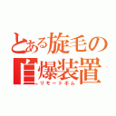 とある旋毛の自爆装置（リモートボム）