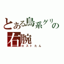 とある鳥系グリードの右腕（ロストたん）