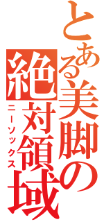 とある美脚の絶対領域（ニーソックス）