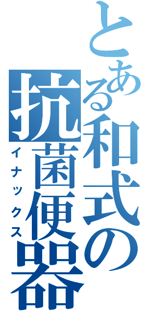 とある和式の抗菌便器（イナックス）