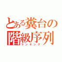 とある糞台の階級序列（ランキング）