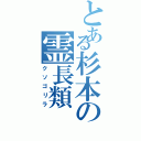 とある杉本の霊長類（クソゴリラ）