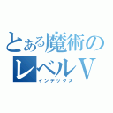 とある魔術のレベルⅤ（インデックス）