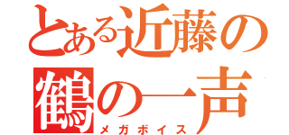 とある近藤の鶴の一声（メガボイス）