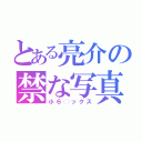 とある亮介の禁な写真（小６◯ックス）