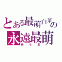 とある最萌白菜の永遠最萌（最も孟）