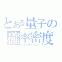 とある量子の確率密度（シュレディンガー）