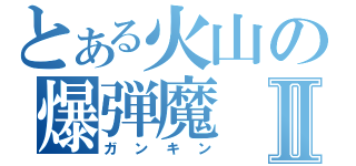 とある火山の爆弾魔Ⅱ（ガンキン）