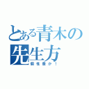 とある青木の先生方（個性豊か！）