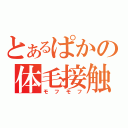 とあるぱかの体毛接触（モフモフ）