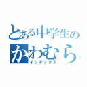 とある中学生のかわむらりな一（インデックス）