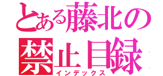 とある藤北の禁止目録（インデックス）