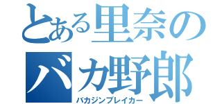 とある里奈のバカ野郎（バカジンブレイカー）