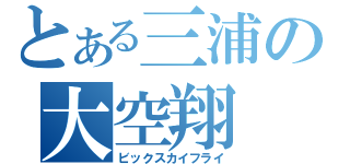 とある三浦の大空翔（ビックスカイフライ）