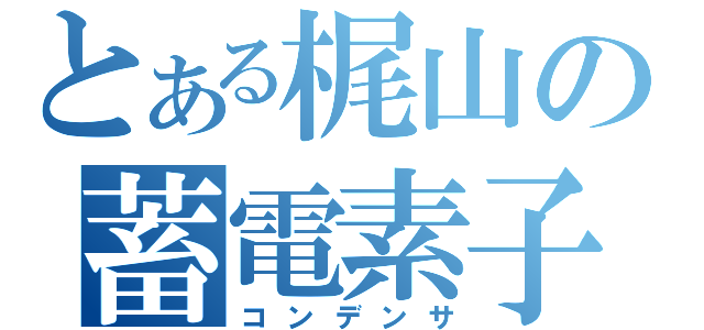 とある梶山の蓄電素子（コンデンサ）