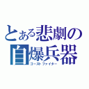 とある悲劇の自爆兵器（ゴーストファイター）