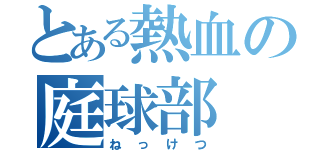 とある熱血の庭球部（ねっけつ）