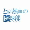 とある熱血の庭球部（ねっけつ）