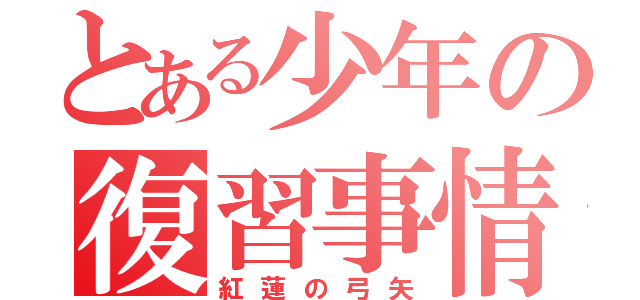 とある少年の復習事情（紅蓮の弓矢）