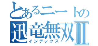 とあるニートの迅竜無双Ⅱ（インデックス）