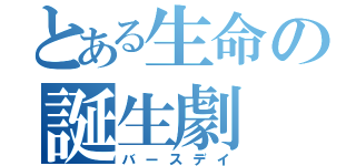 とある生命の誕生劇（バースデイ）