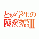 とある学生の恋愛物語Ⅱ（ソラ＆カオ）