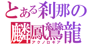 とある刹那の麟鳳鸞龍（アクノロギア）
