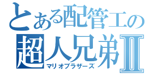 とある配管工の超人兄弟Ⅱ（マリオブラザーズ）