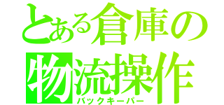 とある倉庫の物流操作（バックキーパー）